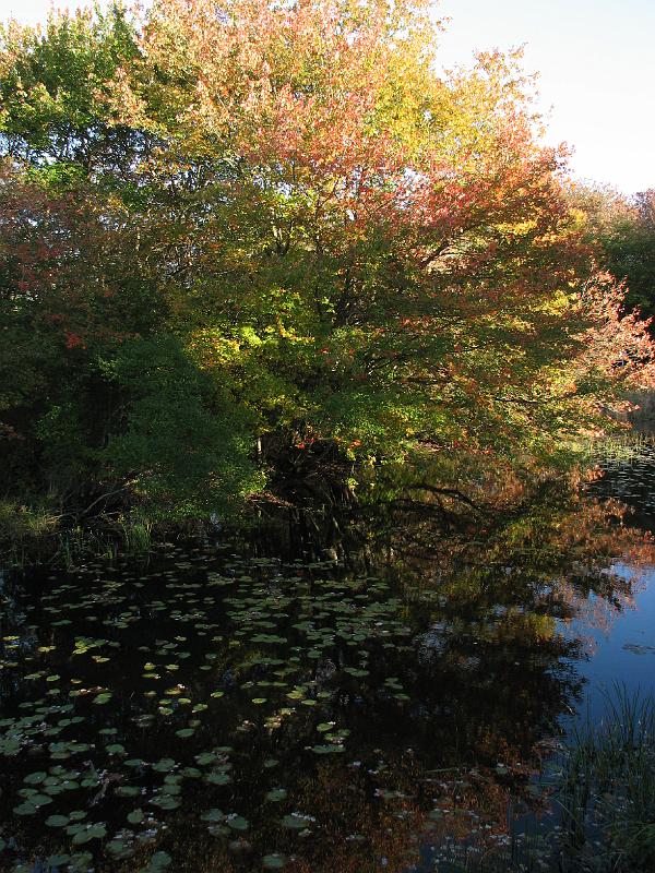 2008-10-11_Tiverton_Trustom 112.jpg